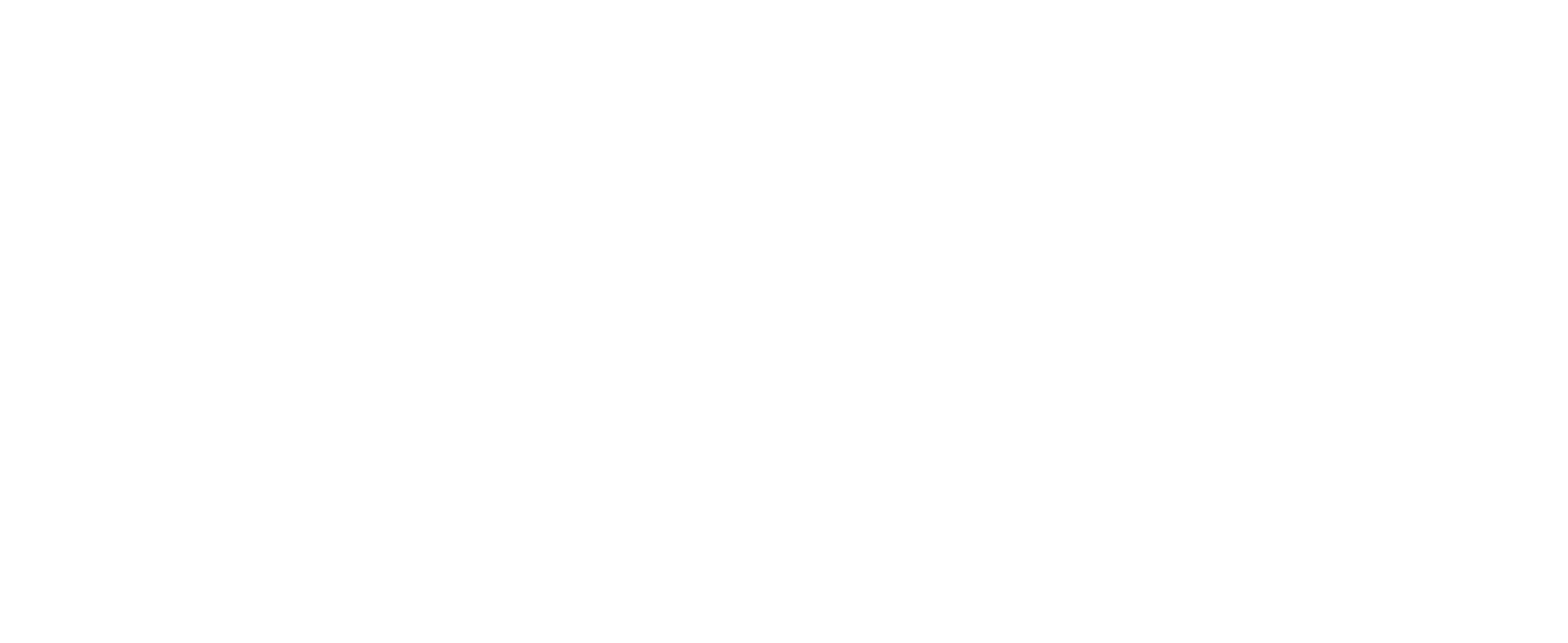 rep_portuguesa.png